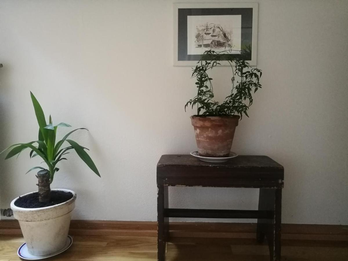 Green Vagon, Farm B&B Rooms For Rent 约灵 外观 照片